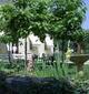 Le Domaine restaurant Moustey
